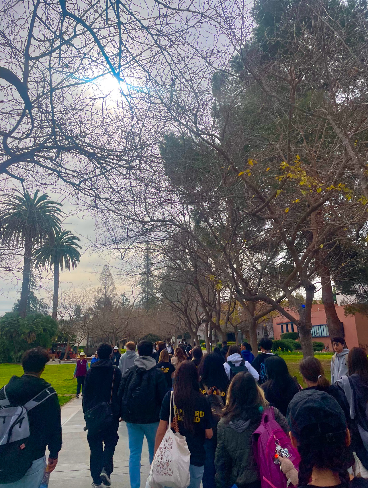 PACT Students at San Jose State