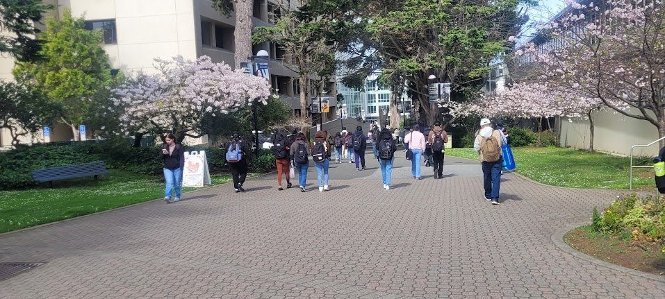 Students walking at SFSU