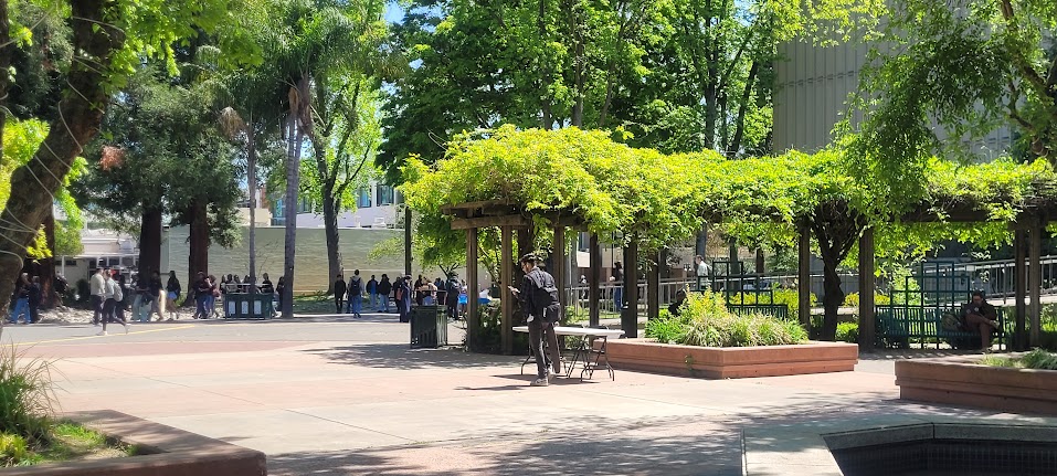 Students at Sac State
