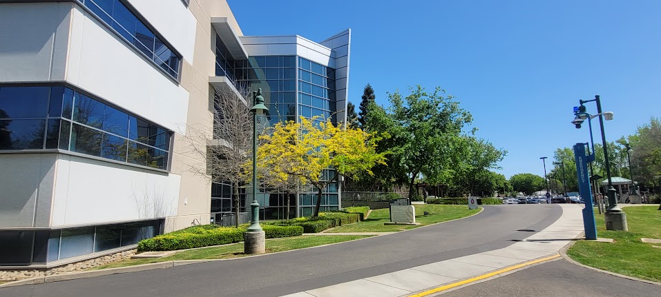 Sac State Field Trip