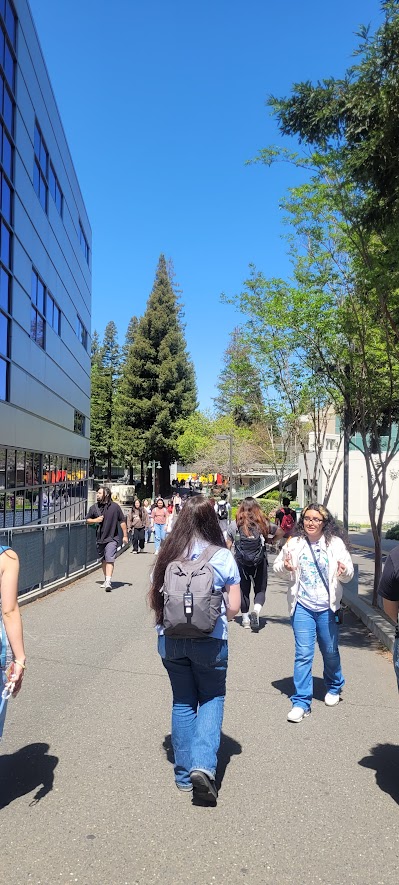 Students at Sac State