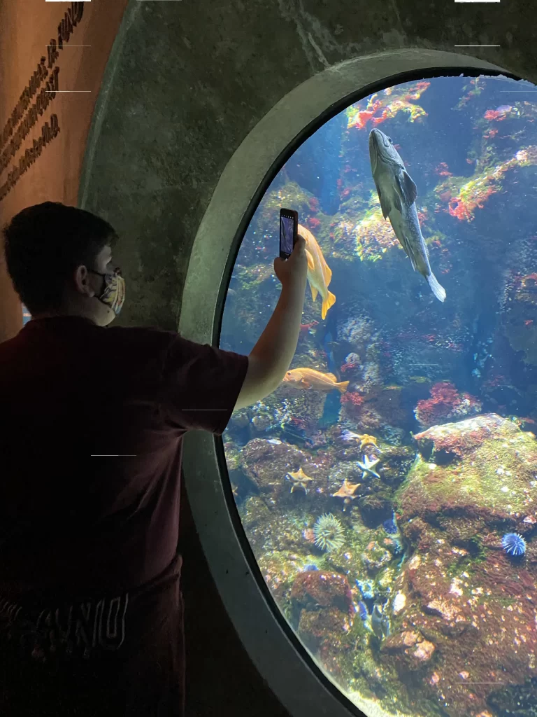 Student in front of aquarium window